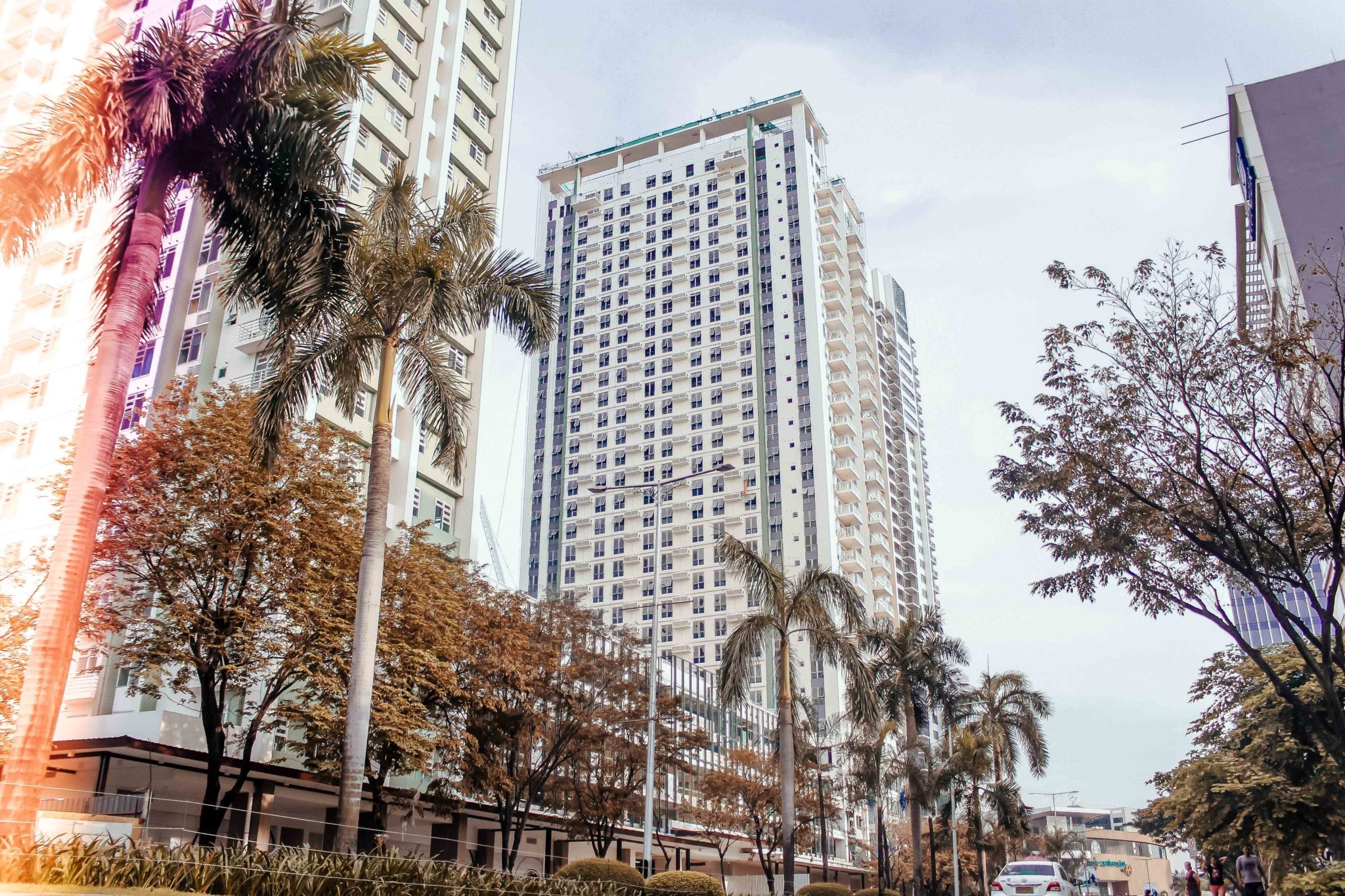 cebu business park nature trees