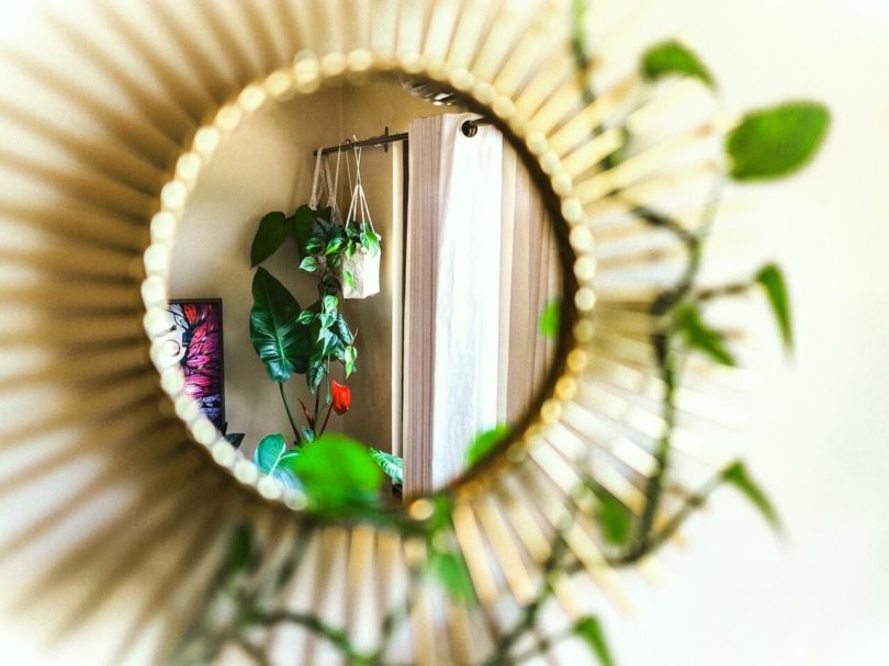 mirror interior plants cebu philippines